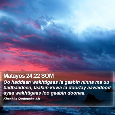 Matayos 24:22 SOM Bible Verse Image