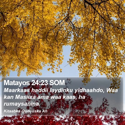Matayos 24:23 SOM Bible Verse Image