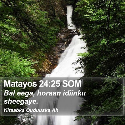 Matayos 24:25 SOM Bible Verse Image