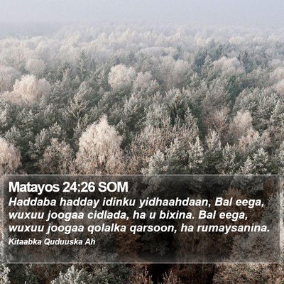 Matayos 24:26 SOM Bible Verse Image