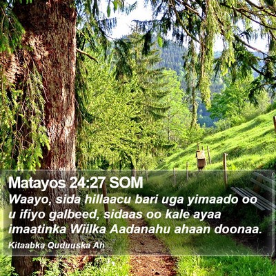 Matayos 24:27 SOM Bible Verse Image