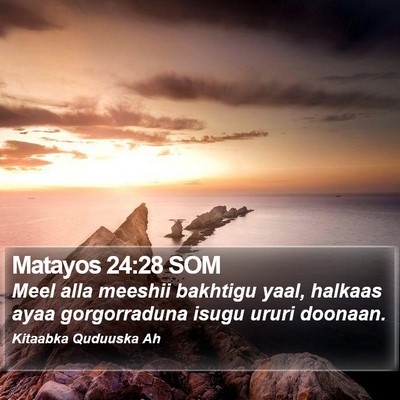 Matayos 24:28 SOM Bible Verse Image