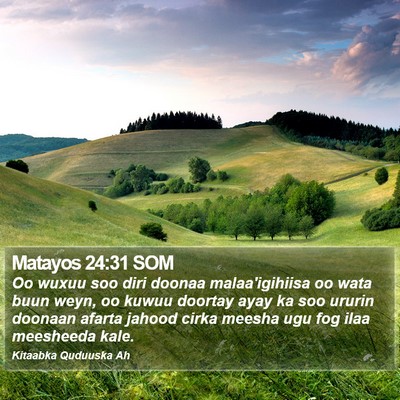 Matayos 24:31 SOM Bible Verse Image