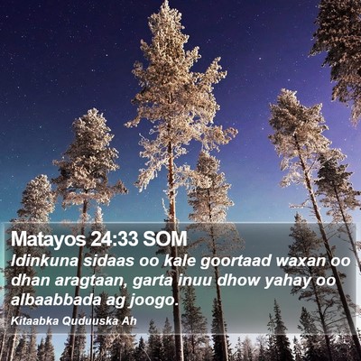 Matayos 24:33 SOM Bible Verse Image