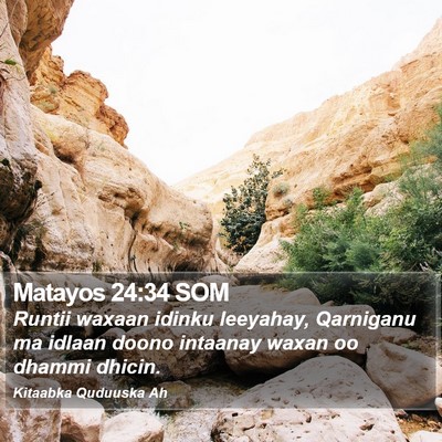 Matayos 24:34 SOM Bible Verse Image