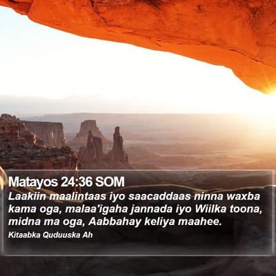 Matayos 24:36 SOM Bible Verse Image