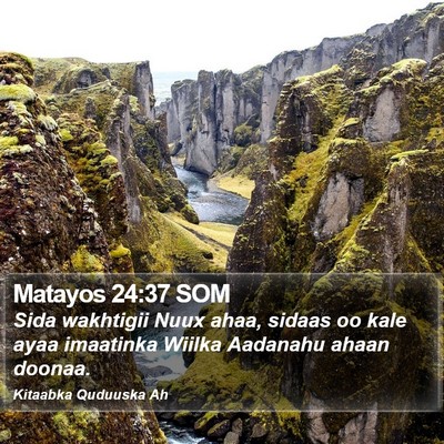 Matayos 24:37 SOM Bible Verse Image