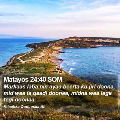 Matayos 24:40 SOM Bible Verse Image