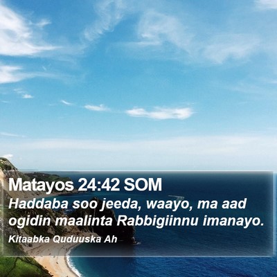 Matayos 24:42 SOM Bible Verse Image