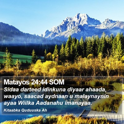 Matayos 24:44 SOM Bible Verse Image