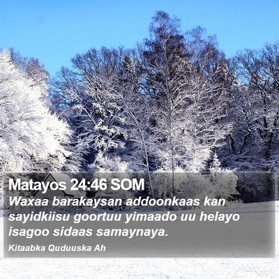 Matayos 24:46 SOM Bible Verse Image