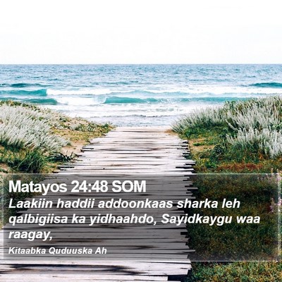 Matayos 24:48 SOM Bible Verse Image