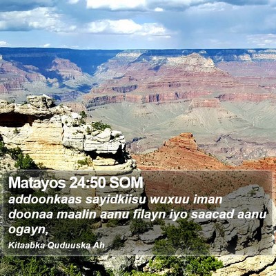 Matayos 24:50 SOM Bible Verse Image