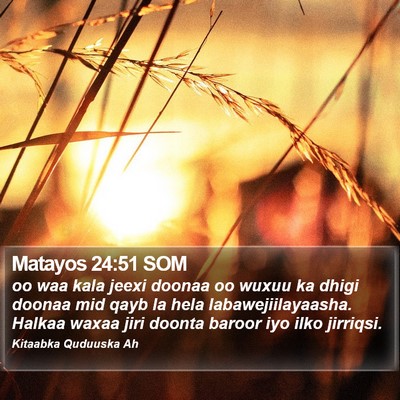 Matayos 24:51 SOM Bible Verse Image