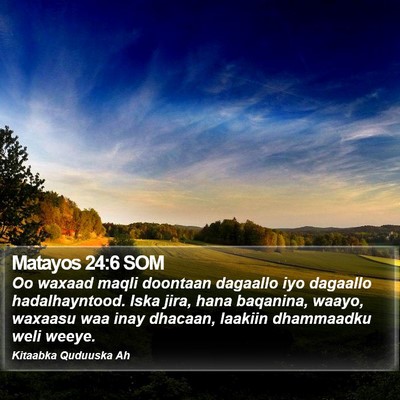 Matayos 24:6 SOM Bible Verse Image
