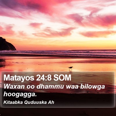 Matayos 24:8 SOM Bible Verse Image