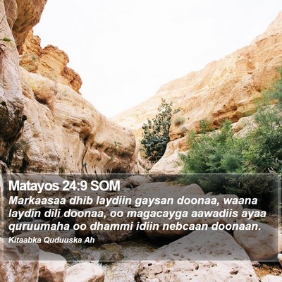 Matayos 24:9 SOM Bible Verse Image