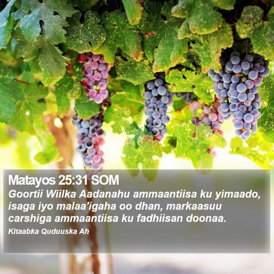 Matayos 25:31 SOM Bible Verse Image