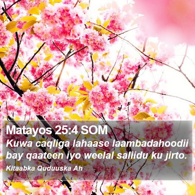 Matayos 25:4 SOM Bible Verse Image