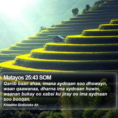 Matayos 25:43 SOM Bible Verse Image