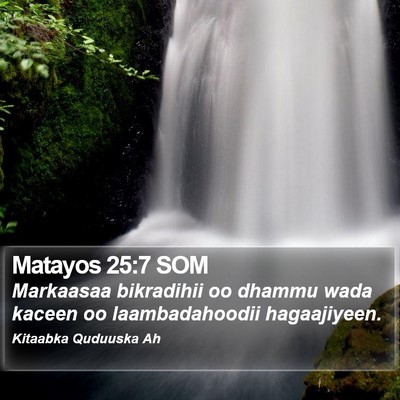 Matayos 25:7 SOM Bible Verse Image