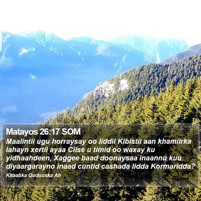Matayos 26:17 SOM Bible Verse Image