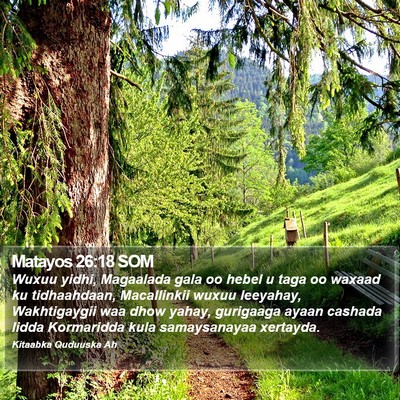 Matayos 26:18 SOM Bible Verse Image