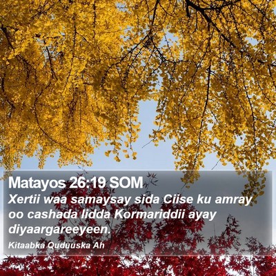 Matayos 26:19 SOM Bible Verse Image