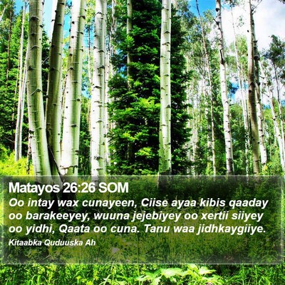 Matayos 26:26 SOM Bible Verse Image