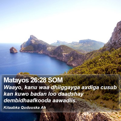 Matayos 26:28 SOM Bible Verse Image
