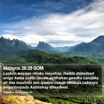 Matayos 26:29 SOM Bible Verse Image