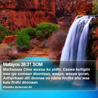 Matayos 26:31 SOM Bible Verse Image