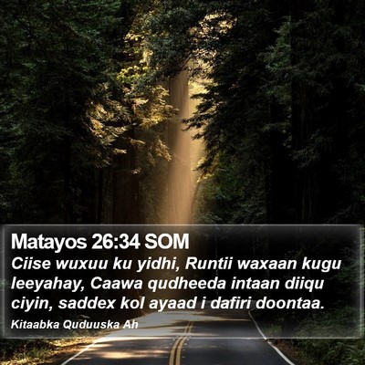 Matayos 26:34 SOM Bible Verse Image