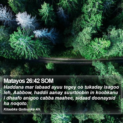 Matayos 26:42 SOM Bible Verse Image