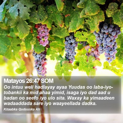 Matayos 26:47 SOM Bible Verse Image
