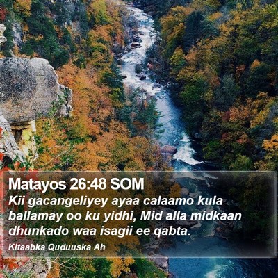 Matayos 26:48 SOM Bible Verse Image