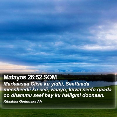 Matayos 26:52 SOM Bible Verse Image