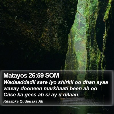 Matayos 26:59 SOM Bible Verse Image