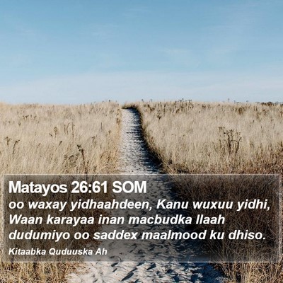 Matayos 26:61 SOM Bible Verse Image