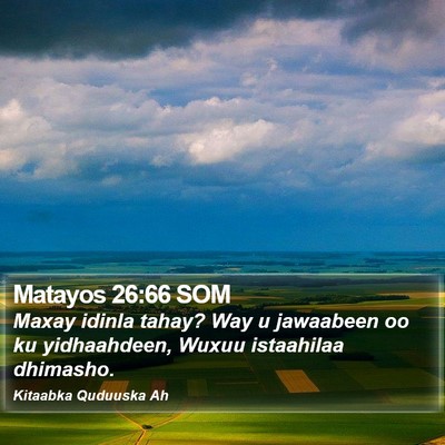 Matayos 26:66 SOM Bible Verse Image