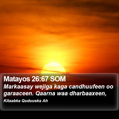 Matayos 26:67 SOM Bible Verse Image