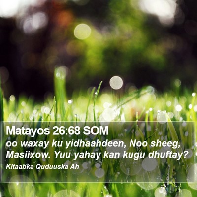 Matayos 26:68 SOM Bible Verse Image