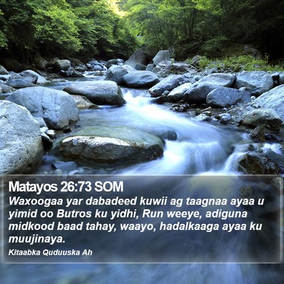 Matayos 26:73 SOM Bible Verse Image