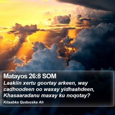 Matayos 26:8 SOM Bible Verse Image
