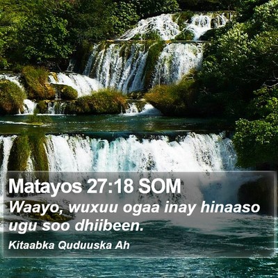 Matayos 27:18 SOM Bible Verse Image