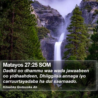 Matayos 27:25 SOM Bible Verse Image