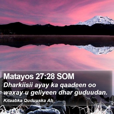 Matayos 27:28 SOM Bible Verse Image