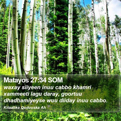 Matayos 27:34 SOM Bible Verse Image