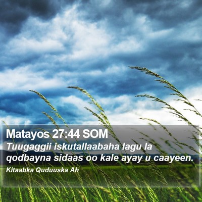 Matayos 27:44 SOM Bible Verse Image
