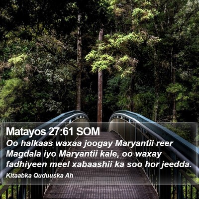 Matayos 27:61 SOM Bible Verse Image